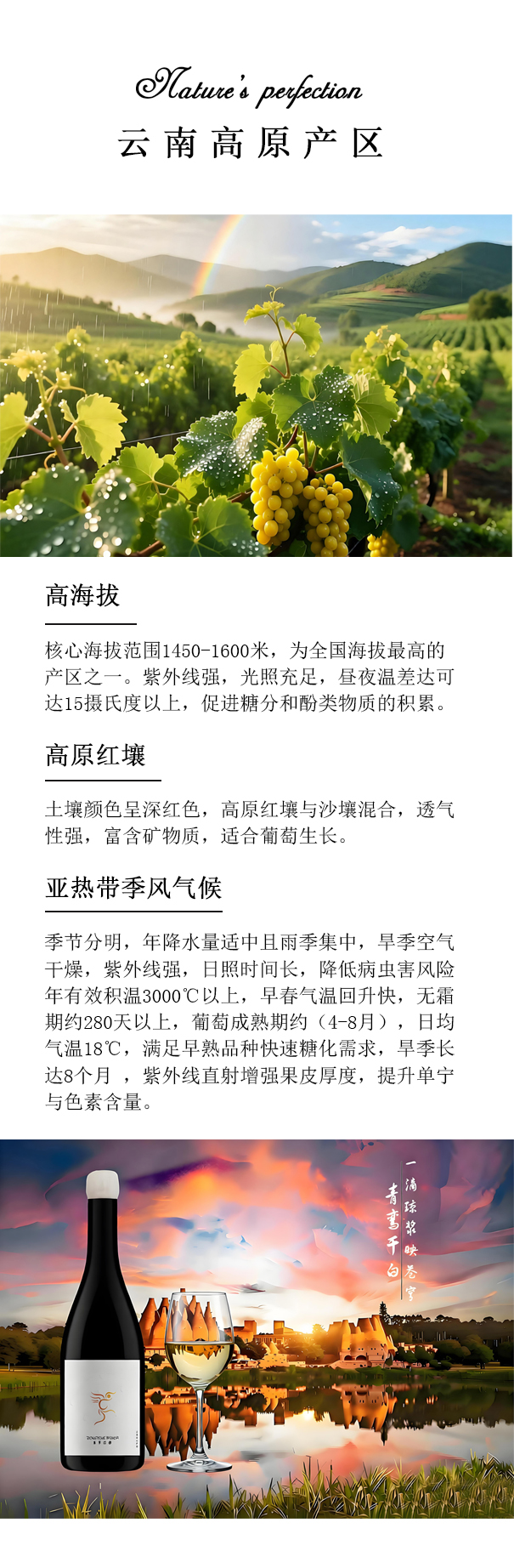 描述2.jpg