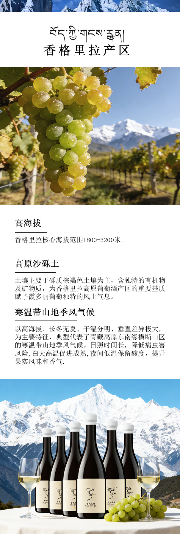 描述2.jpg