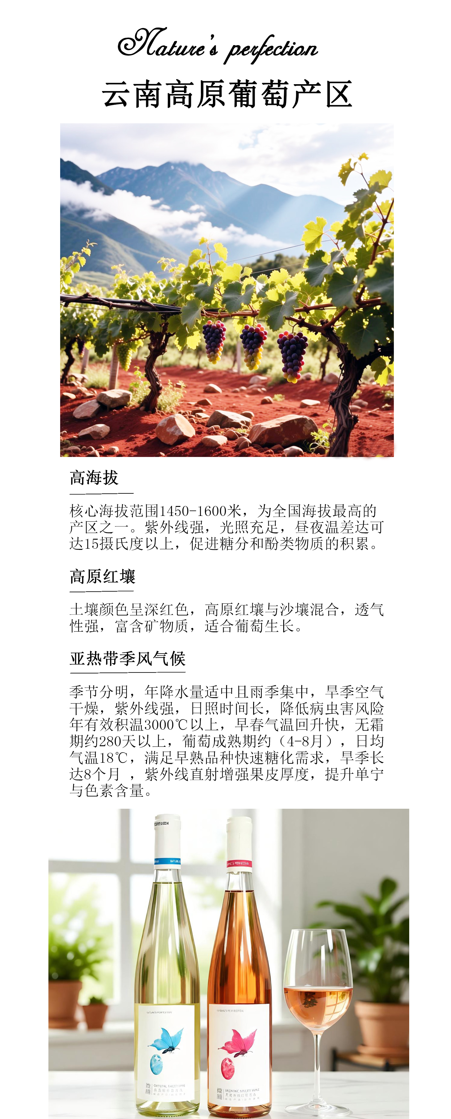 描述4.jpg