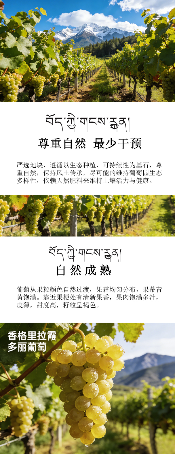 描述3.jpg