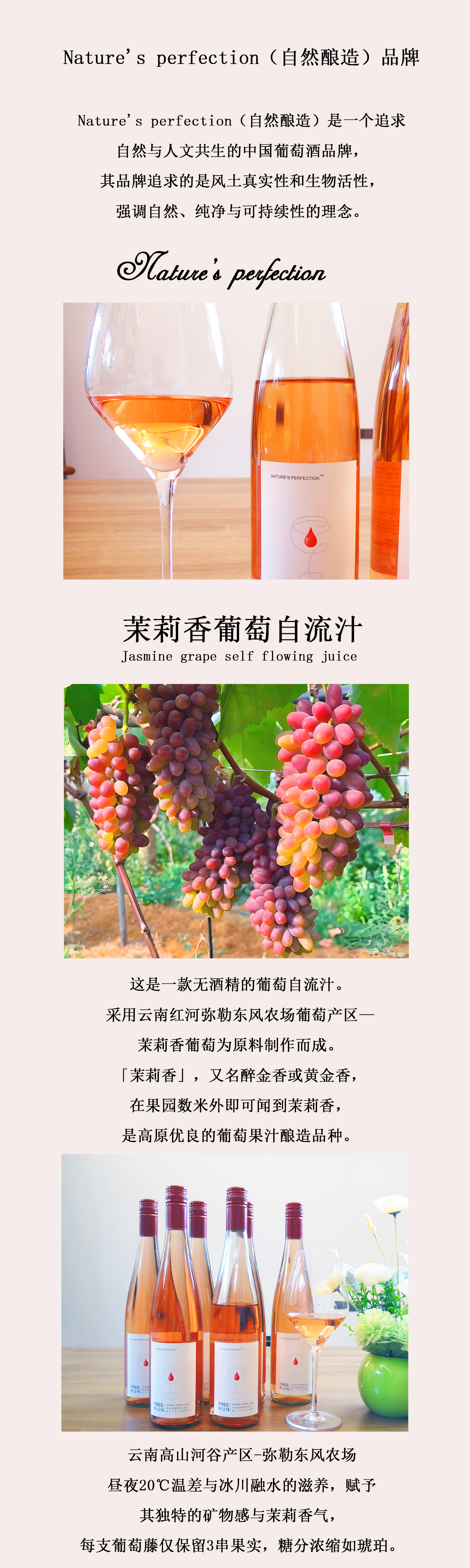 茉莉香描述2.jpg