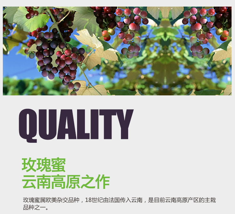 30年玫瑰蜜干红7