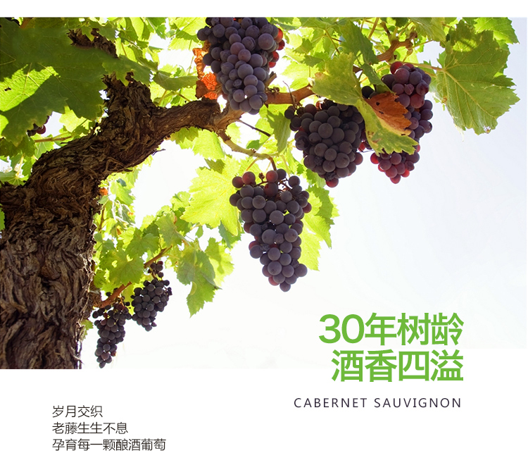 30年玫瑰蜜干红5