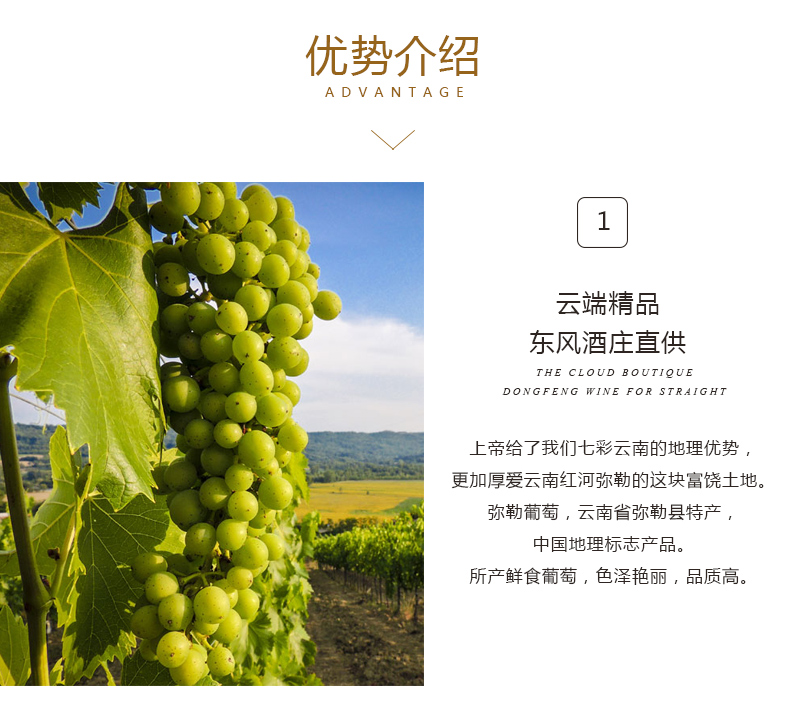 东方传奇03.jpg