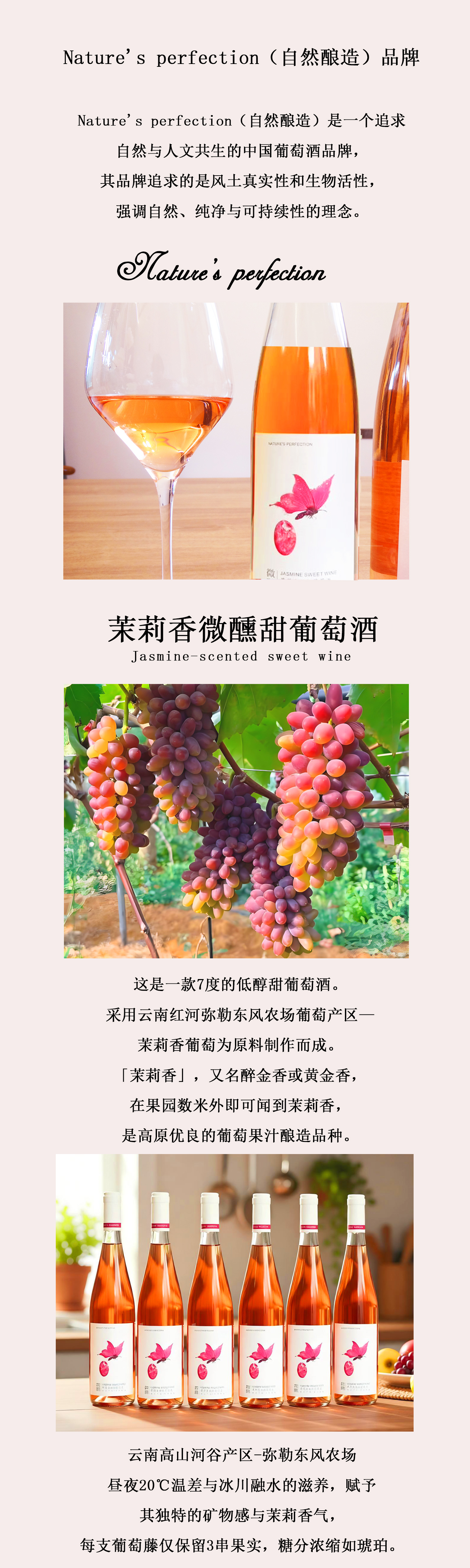 茉莉香描述2.jpg